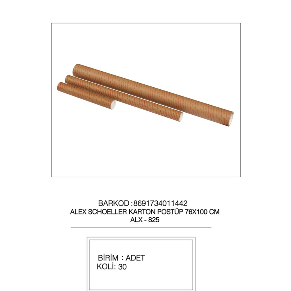 Alex Schoeller Proje Tüpü Karton 76x100 CM 825 Alex Schoeller Proje Tüpü Karton 76x100 CM 825