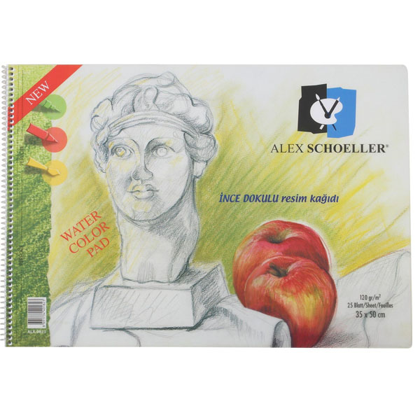 Alex Schoeller Resim Defteri Spiralli Şeffaf Kapak 120 Gr 35X50 25 Syf.Alx-0823 Alex Schoeller Resim Defteri Spiralli Şeffaf Kapak 120 Gr 35X50 25 Syf.Alx-0823